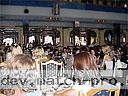 women tour yalta 0704 30