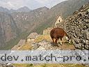 Machu-Picchu-020